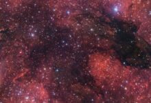 Esta misteriosa nebulosa parece um lobo escuro rosnando no céu: ScienceAlert