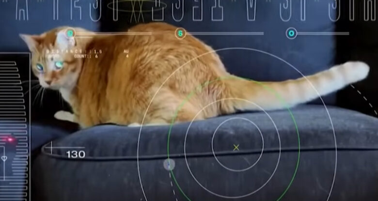 Missão da NASA transmite vídeo de gato através do espaço profundo com lasers: ScienceAlert