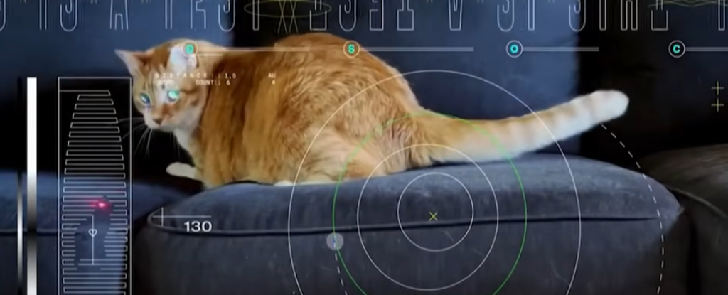 Missão da NASA transmite vídeo de gato através do espaço profundo com lasers: ScienceAlert