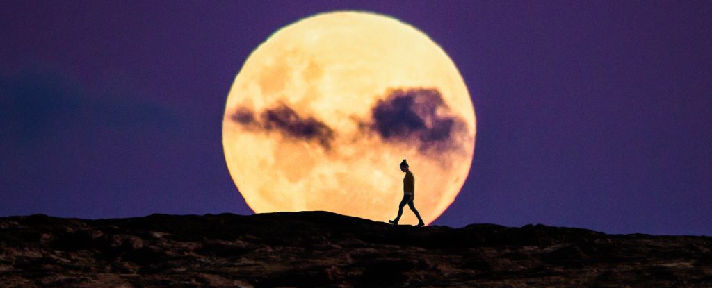 A Superlua de outubro é a maior de 2024 – é quando vê-la: ScienceAlert