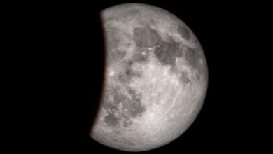 Não perca a lua cheia desta noite e o eclipse lunar final de 2024! É quando ver. : Alerta Ciência