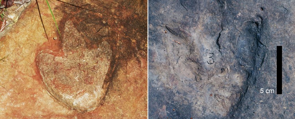 Pegadas de dinossauros encontradas a 3.700 milhas de distância revelam o passado da Terra: ScienceAlert