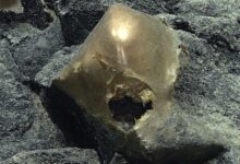 O que é esta misteriosa esfera dourada encontrada no fundo do oceano? : Alerta Ciência