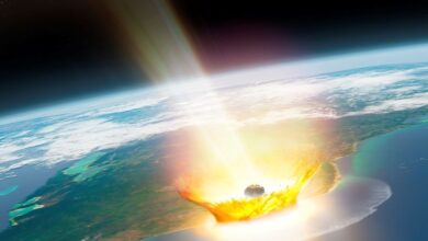 Finalmente sabemos de onde veio o asteróide que matou os dinossauros: ScienceAlert