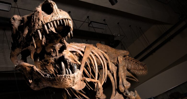 O maior T. Rex era provavelmente muito maior do que jamais imaginamos: ScienceAlert