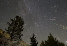 A chuva de meteoros Perseidas 2024 está prestes a atingir seu pico. Veja como assistir. : Alerta Ciência