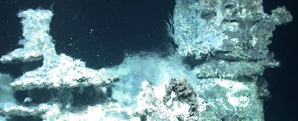 Incrível ambiente hidrotérmico descoberto nas profundezas do oceano: ScienceAlert