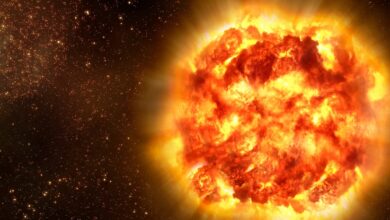 Explosões de supernovas próximas podem ameaçar a vida na Terra? : Alerta Ciência