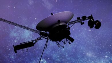 A Voyager 1 está de volta! Sonda lendária faz contato do espaço interestelar: ScienceAlert