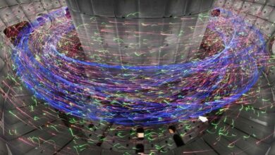 Impressionante visualização 3D da fusão nuclear leva você para dentro de um Tokamak: ScienceAlert