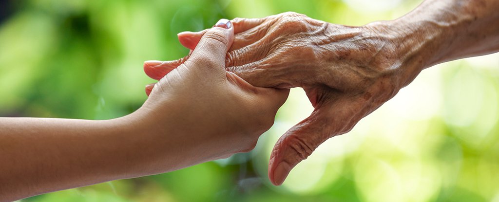 Um medicamento comum para pressão arterial prolonga a vida útil e retarda o envelhecimento em animais: ScienceAlert