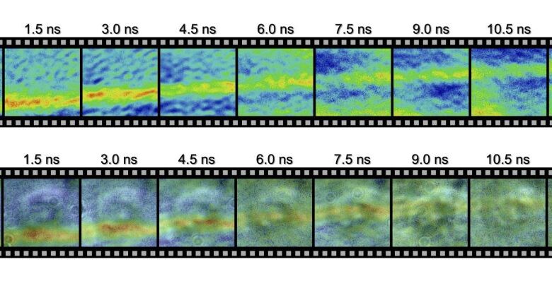 Imagens selvagens revelam uma onda de choque viajando através de uma única célula: ScienceAlert