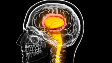 Cientistas descobrem genes do 'cérebro profundo' ligados ao Parkinson e ao TDAH: ScienceAlert