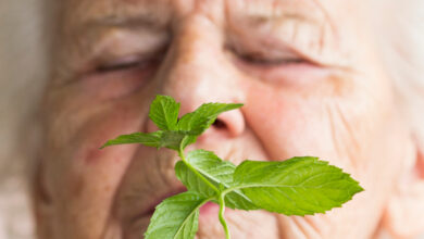 Ligação inesperada entre mentol e Alzheimer descoberta em ratos: ScienceAlert