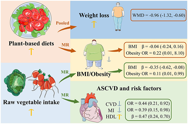 Resumo gráfico para artigo mostrando a melhor dieta baseada em vegetais para perda de peso