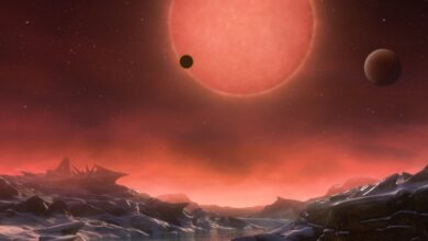 Estudo JWST sugere que o mundo 'estéril' TRAPPIST-1 pode ter uma atmosfera, afinal: ScienceAlert