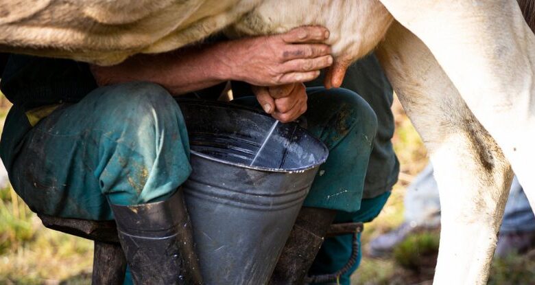 Os vírus da gripe no leite cru refrigerado podem permanecer infecciosos por dias: ScienceAlert