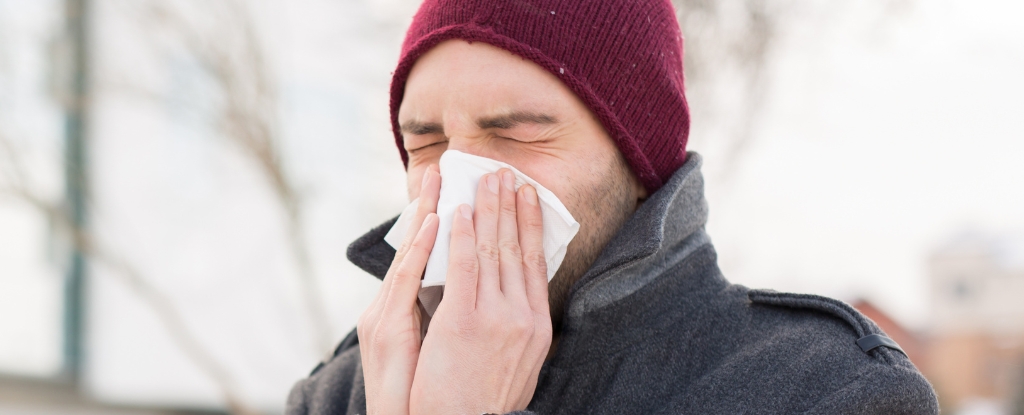 O tempo frio causa resfriados? Veja por que você realmente fica doente no inverno. : Alerta Ciência