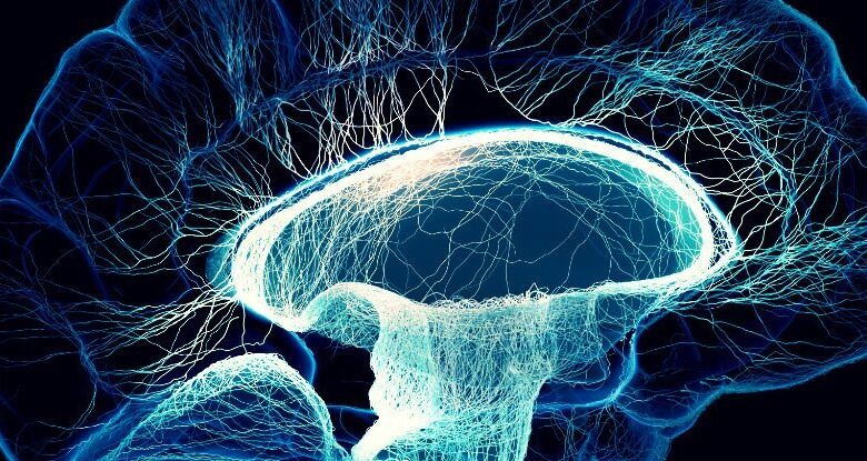 A consciência humana pode ser um efeito colateral da entropia, sugere estudo: ScienceAlert