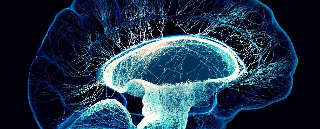 A consciência humana pode ser um efeito colateral da entropia, sugere estudo: ScienceAlert