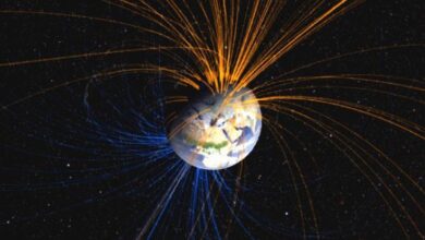 A vida floresceu quando o campo magnético da Terra quase entrou em colapso, 590 milhões de anos atrás: ScienceAlert