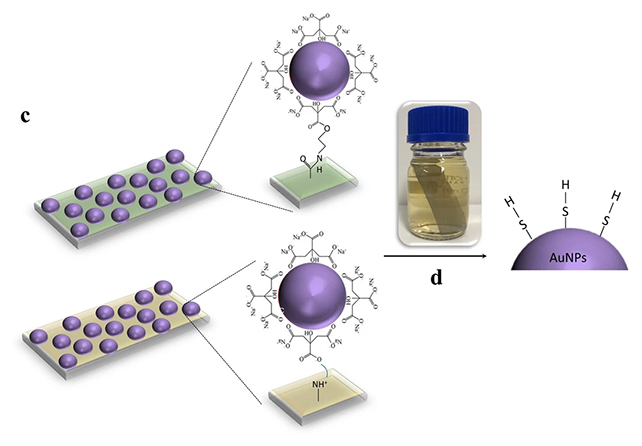 Diagrama de nanopartículas de vinho