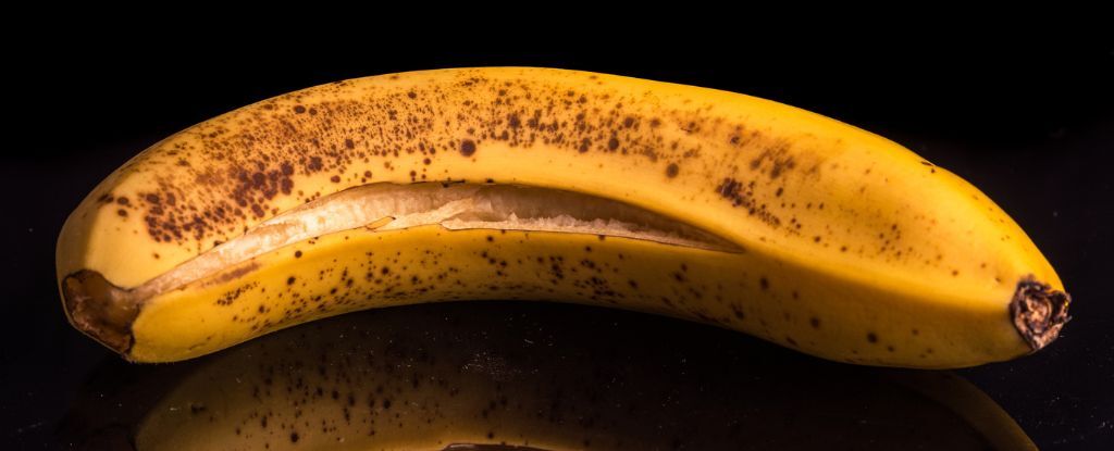 Algo incrível acontece se você usar casca de banana como ingrediente: ScienceAlert