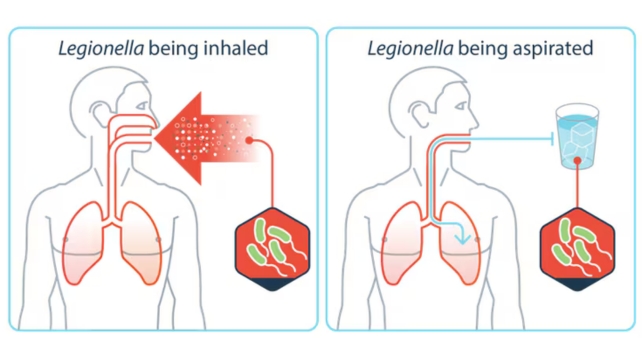 Gráfico mostrando pessoas inalando e aspirando Legionella