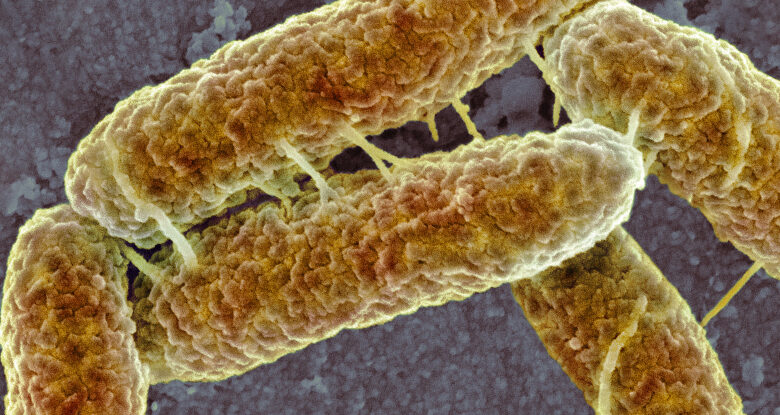 Cientistas criaram micróbios em um experimento de laboratório e desenvolveram um novo sentido: ScienceAlert