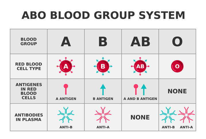 Diagrama mostrando os diferentes grupos sanguíneos, os antígenos nas células sanguíneas e os anticorpos no plasma sanguíneo