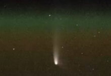 Cometa recém-descoberto agora visível. Veja como ver o 'Cometa do Ano'. : Alerta Ciência