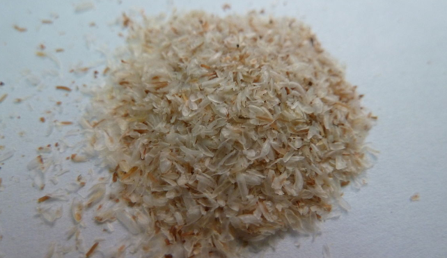 pilha de cascas de psyllium