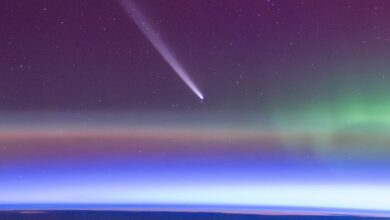 Dois cometas distantes estão visitando a Terra bem a tempo para o Halloween: ScienceAlert