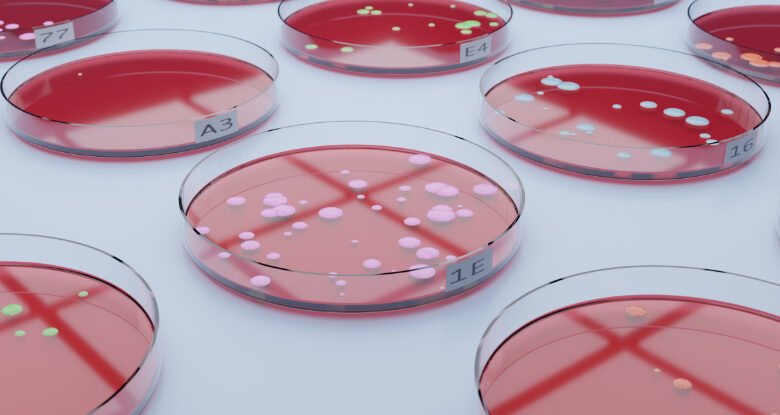 Espera-se que bactérias resistentes a medicamentos matem dezenas de milhões até 2050: ScienceAlert