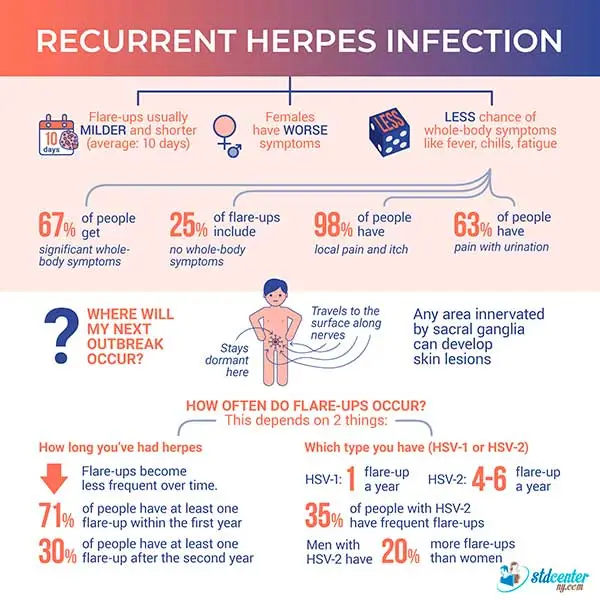 Infográfico de herpes genital