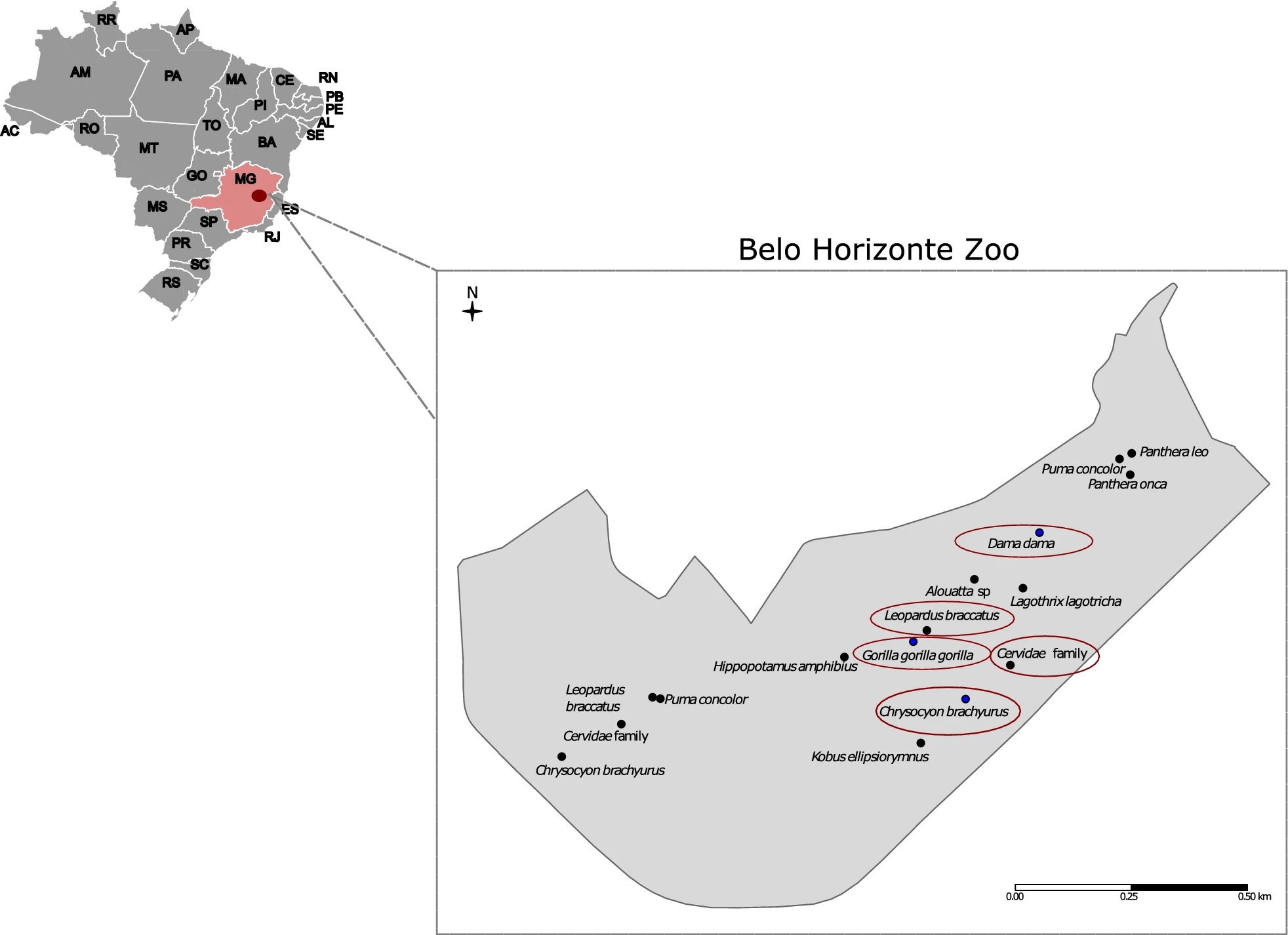 mapa mostra que espécies infectadas estavam na mesma ‘vizinhança’ do zoológico