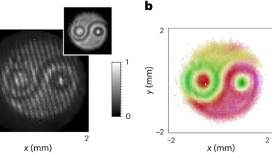 Físicos visualizam o Yin-Yang quântico em experimento de luz emaranhada: ScienceAlert