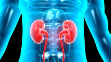 Forever Chemicals pode danificar a função renal, mostram as evidências: ScienceAlert