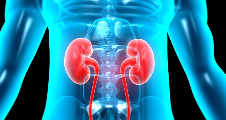 Forever Chemicals pode danificar a função renal, mostram as evidências: ScienceAlert