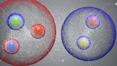 Grande colisor de hádrons encontra evidências de três partículas nunca antes vistas: ScienceAlert