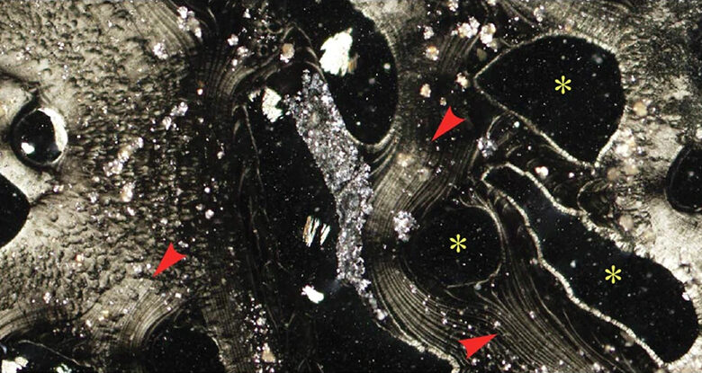 Nanoestruturas encontradas em aberturas marítimas profundas geram energia sem vida: ScienceAlert