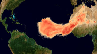 Nossa atmosfera transforma a poeira do Saara em minerais que alimentam a vida: ScienceAlert