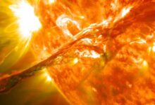 O Sol está mais ativo do que os cientistas previam. Aqui está o que isso significa para nós. : Alerta Ciência