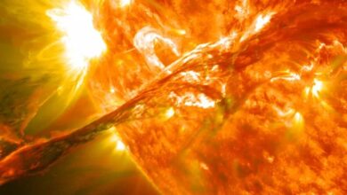 O Sol está mais ativo do que os cientistas previam. Aqui está o que isso significa para nós. : Alerta Ciência