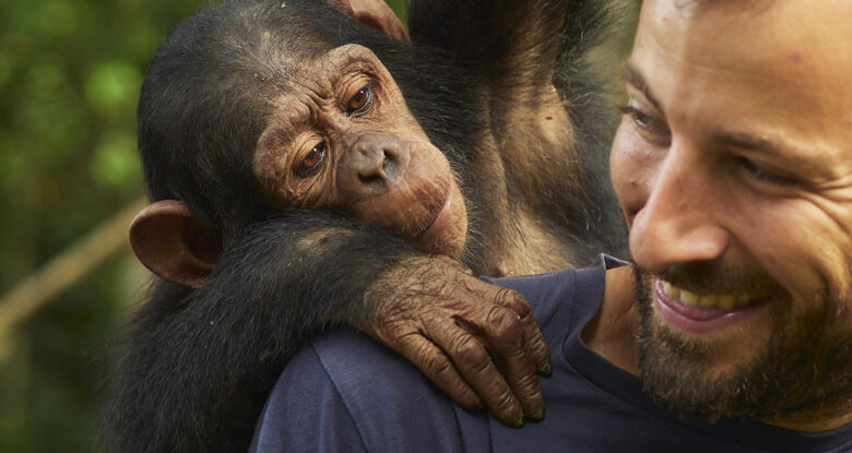 O coração humano é único entre os mamíferos por este motivo principal: ScienceAlert