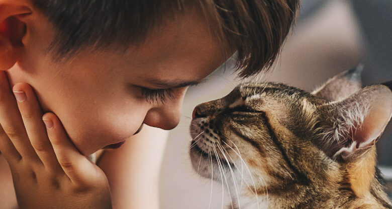 Os gatos podem ter um efeito profundo na sua saúde física e mental: ScienceAlert