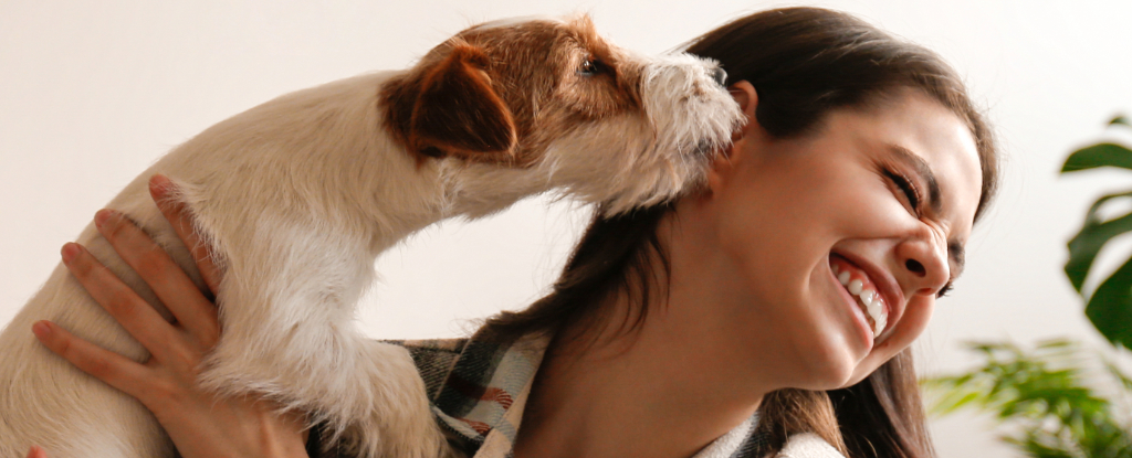 Ter um cachorro pode afetar sua saúde de várias maneiras: ScienceAlert