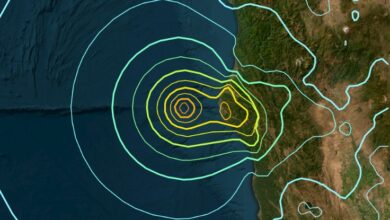 Terremoto de 7.0 atinge a costa da Califórnia e desencadeia avisos de tsunami: ScienceAlert