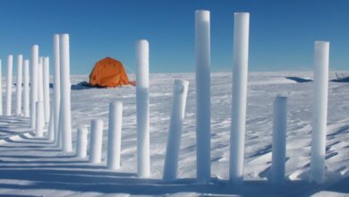 Cientistas descobrem vulcão misterioso que resfriou o globo em 1831: ScienceAlert