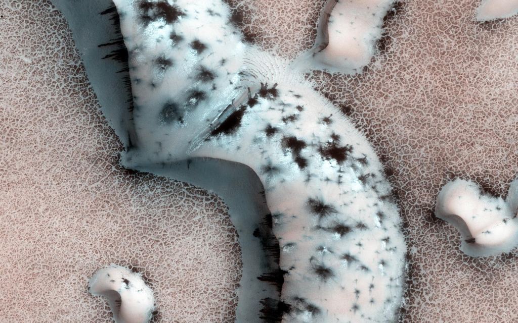 Esta imagem hirise mostra diferentes formas escuras e pontos brilhantes nas dunas de areia na região do Polo Norte de Marte. Os pontos brilhantes são onde o CO2 congelado se sublimou em gás e explodiu, espalhando material mais escuro na superfície. Crédito da imagem: NASA/JPL-Caltech/Univ. do Arizona 